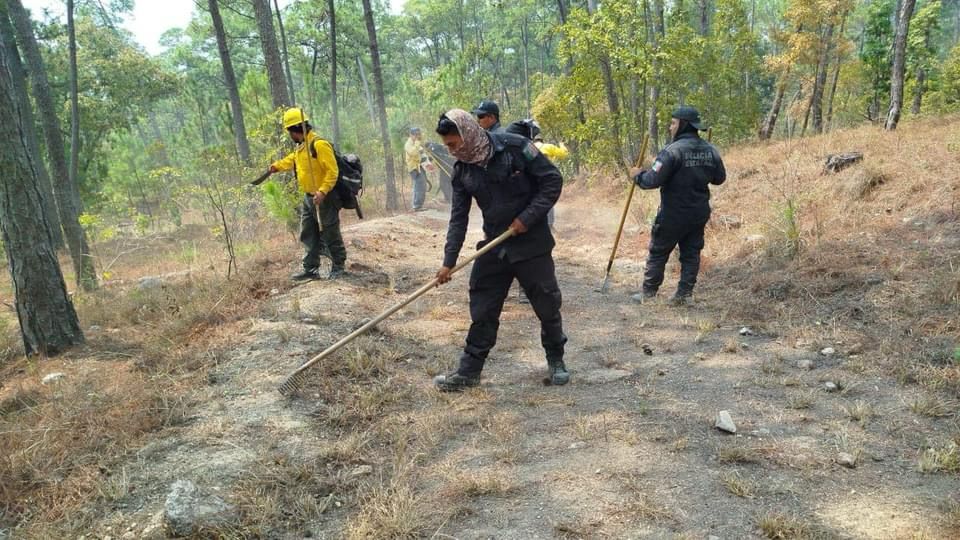 Mantienen combate de incendio forestal en el cerro del Alquitrán - Quorum